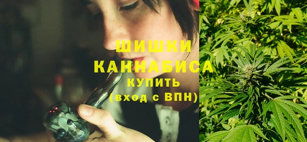 spice Лиски