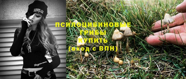 spice Лиски