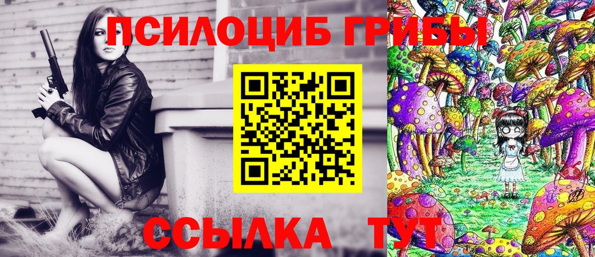 Галлюциногенные грибы GOLDEN TEACHER Среднеуральск